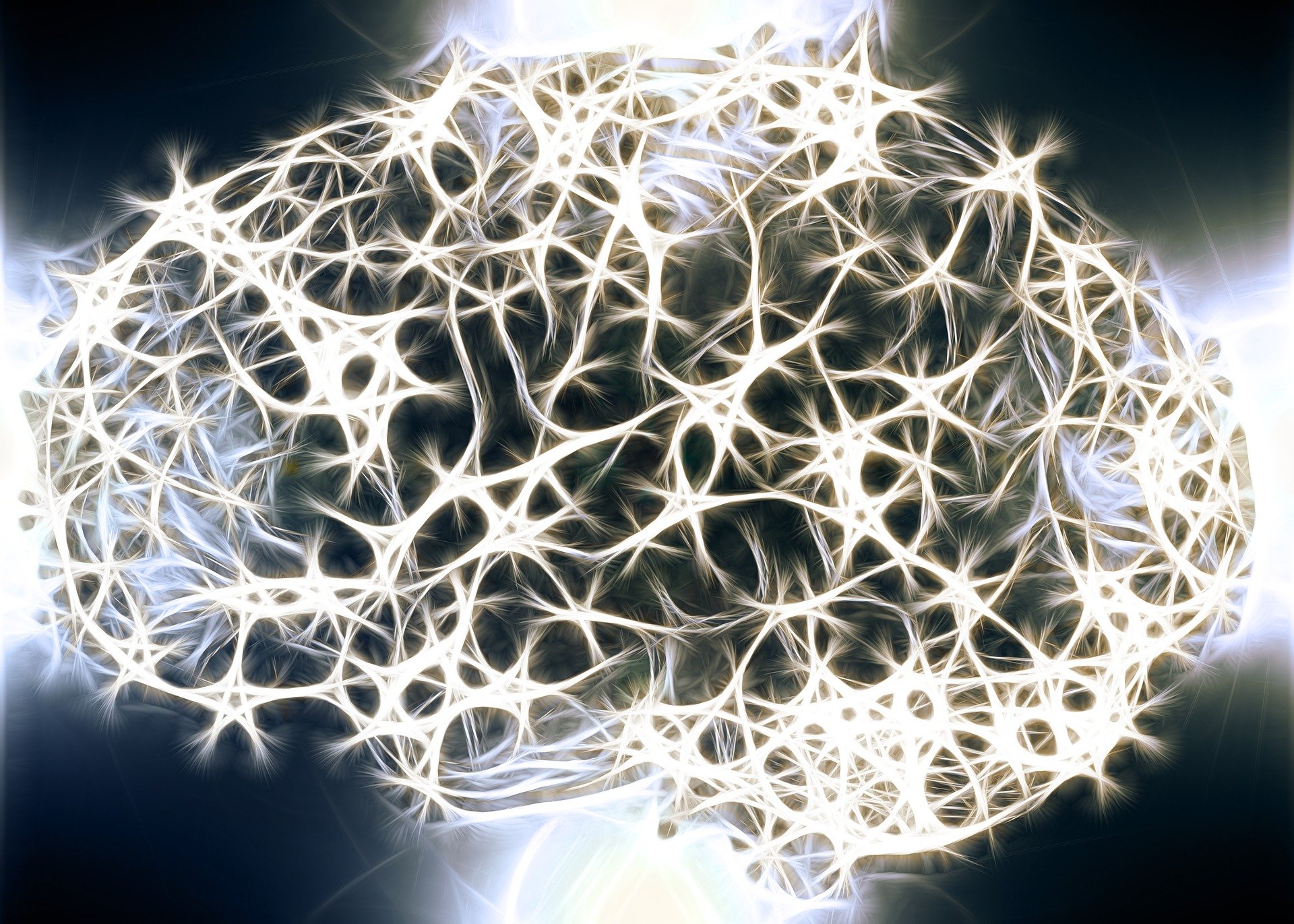 Intelligenza artificiale per la tua PMI? Prima serve quella umana.