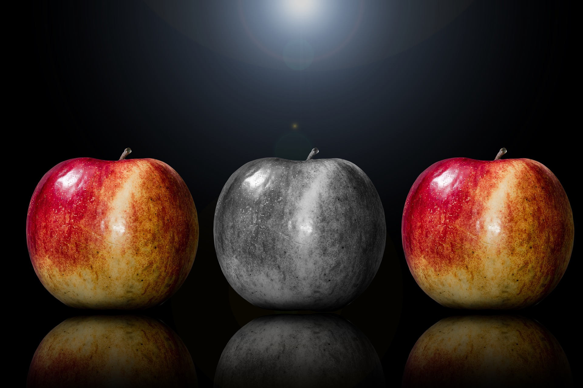 Differenza tra coach, consulente e mentore: quale serve davvero alla tua PMI?